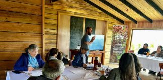 Programa “Emprende+Regenerativo” culmina con resultados destacados en Chiloé