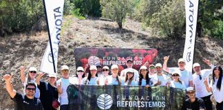 Programa de Toyota para reforestación logra plantar 11.000 árboles y cierra año con voluntariado en Parque Metropolitano