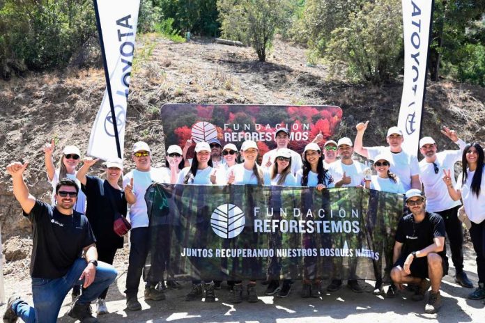 Programa de Toyota para reforestación logra plantar 11.000 árboles y cierra año con voluntariado en Parque Metropolitano