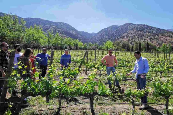 10 panoramas imperdibles en viñas ganadoras de los premios Enoturismo Chile 2023