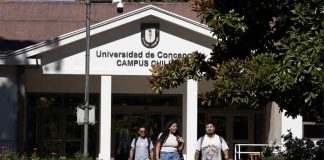 En Campus Chillán de la UdeC se realizará seminario sobre el impacto de humo de incendios forestales en vinos y uvas