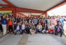 Innovación en Los Lagos: Estudio revela brechas en apoyo institucional y formación de talento