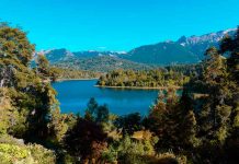 Por primera vez en Chile privados logra proteger más de  300 mil toneladas de carbono en los bosques de la Patagonia