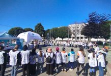 Voluntarios de Puerto Montt participan del mayor proyecto de recolección de colillas en Chile