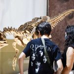 Dinosaurios del Sur del mundo llega a 250.000 visitas