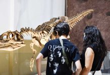 Dinosaurios del Sur del mundo llega a 250.000 visitas