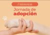 Jornada de adopción perros SuperZoo busca encontrarles hogar a perros cachorros y adultos