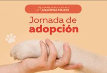 Jornada de adopción perros SuperZoo busca encontrarles hogar a perros cachorros y adultos