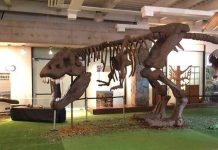 RANKING DE LOS MEJORES PANORAMAS PARA DISFRUTAR EN COQUIMBO ESTE VERANO RANKING DE LOS MEJORES PANORAMAS PARA DISFRUTAR EN COQUIMBO ESTE VERANO