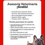 Ante alto valor en gastos veterinarios: chequeos gratuitos en distintas comunas de la RM