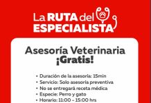 Ante alto valor en gastos veterinarios: chequeos gratuitos en distintas comunas de la RM