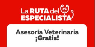 Ante alto valor en gastos veterinarios: chequeos gratuitos en distintas comunas de la RM