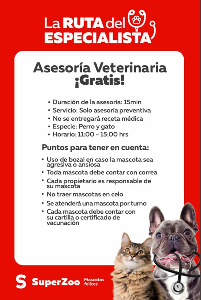 Ante alto valor en gastos veterinarios: chequeos gratuitos en distintas comunas de la RM