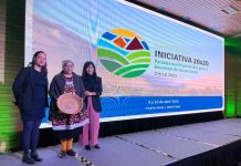 Chile y restauración ecológica