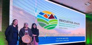 Chile y restauración ecológica