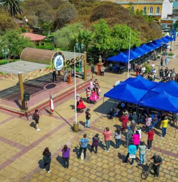 Taltal celebró la Gran Fiesta de la Cosecha Olivícola con un decidido apoyo de INDAP 