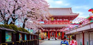 Viajar sin visa a Osaka, Georgia o Maldivas: Guía con 10 destinos que hoy están al alcance del pasaporte chileno
