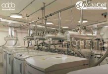 VidaCel: única institución chilena reacreditada 4 veces por AABB, en manejo de células madre