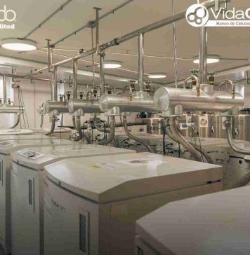 VidaCel: única institución chilena reacreditada 4 veces por AABB, en manejo de células madre