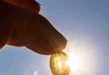 Vitamina D: la aliada silenciosa para la salud ósea, muscular e inmune