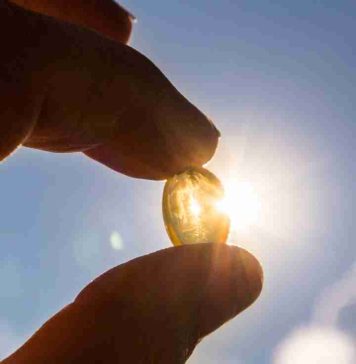 Vitamina D: la aliada silenciosa para la salud ósea, muscular e inmune