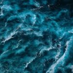 Ciencia e innovación estarán presentes en BLUE WEEK Los Lagos 2025