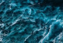 Ciencia e innovación estarán presentes en BLUE WEEK Los Lagos 2025