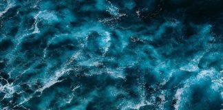 Ciencia e innovación estarán presentes en BLUE WEEK Los Lagos 2025