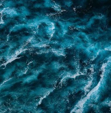 Ciencia e innovación estarán presentes en BLUE WEEK Los Lagos 2025