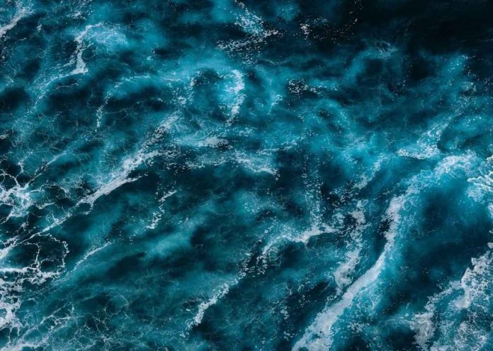 Ciencia e innovación estarán presentes en BLUE WEEK Los Lagos 2025