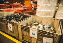 Día mundial del Reciclaje: Samsung Chile recicla 448 toneladas de e-waste y supera su meta