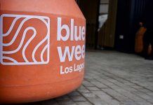 Ecosistema emprendedor se reúne este jueves en Blue Week Los Lagos 2025