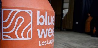 Ecosistema emprendedor se reúne este jueves en Blue Week Los Lagos 2025