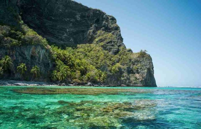 Los mejores panoramas para disfrutar de una joya de República Dominicana: Samaná