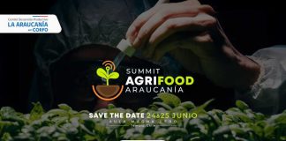 AgriFood Summit Araucanía 2025: La Cumbre que Redefine el Futuro Sostenible del Agro desde la Salud del Suelo a la Mesa