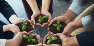 El rol clave de las industrias en la transformación sostenible del país   
