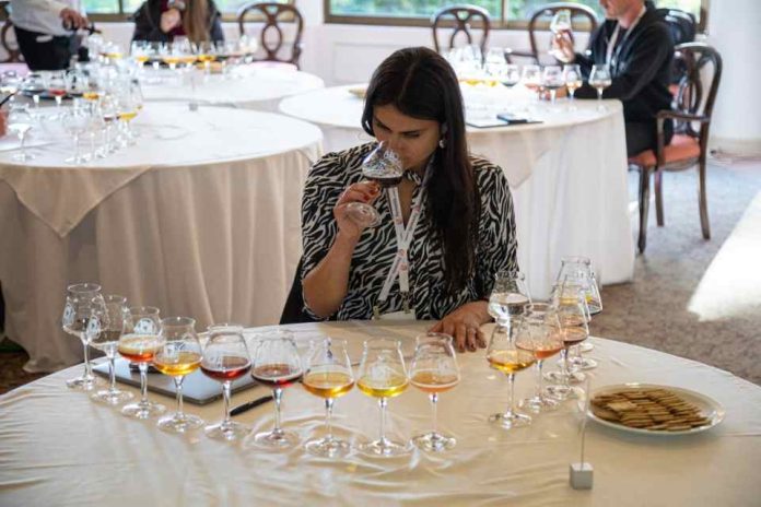 Copa Cervezas de América 2025: abre el tercer tramo de inscripción y anuncia jurado internacional