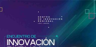 Primer Encuentro de Innovación Pública 2025: Experiencias Municipales en la Región de Los Lagos