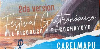 Retorna a Carelmapu el Festival del Picoroco y Cochayuyo