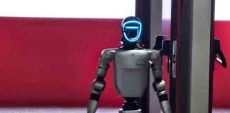 Un robot “gallina”que ‘anima’ a los pollos a  moverse en las granjas y un sistema que  aumenta la seguridad en centrales nucleares, entre los finalistas de los I ARME Awards 