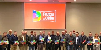 Como parte de la Estrategia 2030 de la industria: Frutas de Chile refuerza compromiso del sector con la sustentabilidad y lanza su primer reporte