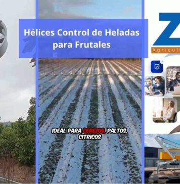 Zimex: Líder en Hélices Control de Heladas para Frutales