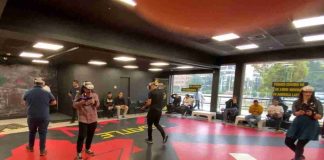LUCID DREAMS llega a Mall Plaza Vespucio estas vacaciones de invierno