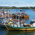 Ley de Fraccionamiento Pesquero: Un hito para la pesca artesanal de Chile