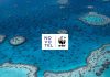 Novotel celebra un año de compromiso con los océanos y una alianza sostenible con WWF