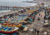 Oceana Chile llama a reforzar protección marina y alerta sobre retrocesos en la ley de plásticos