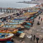 Oceana Chile llama a reforzar protección marina y alerta sobre retrocesos en la ley de plásticos