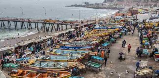 Oceana Chile llama a reforzar protección marina y alerta sobre retrocesos en la ley de plásticos