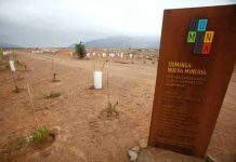 Proyecto Dominga