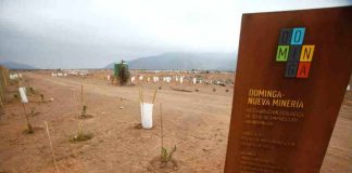 Proyecto Dominga